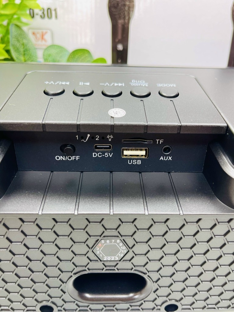 LOA KARAOKE TẶNG KÈM 2 MICRO KHÔNG DÂY CỰC HAY MÃ SD301 (60)