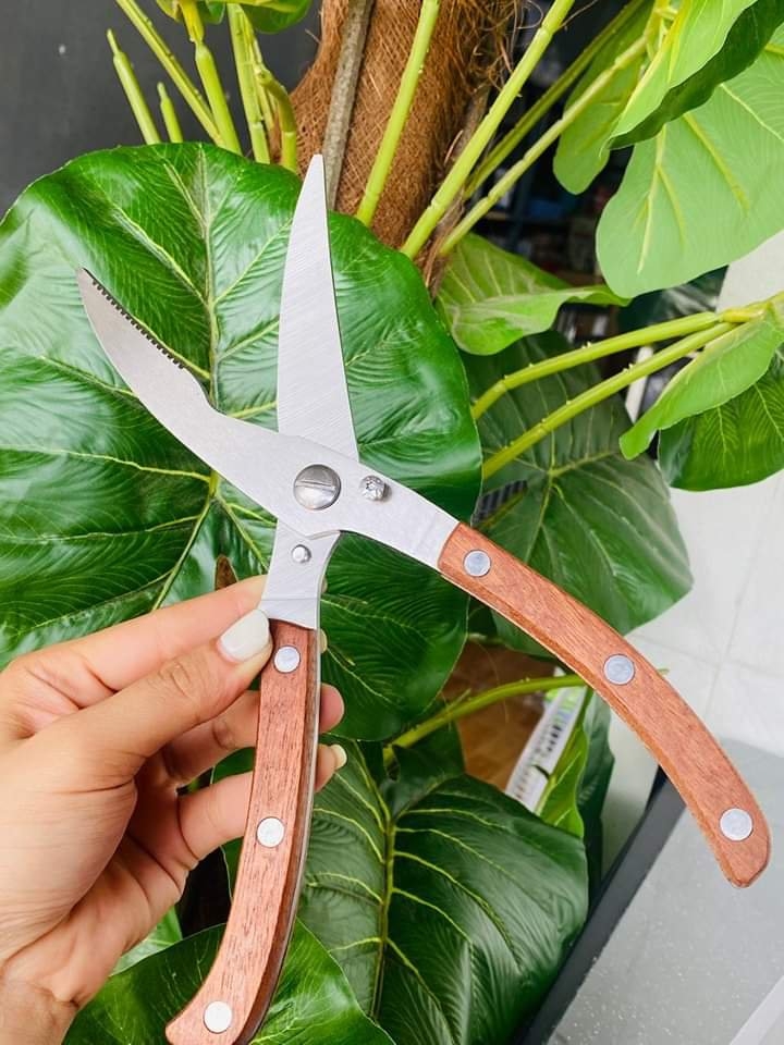 Kéo Cắt Gà Cán Gỗ Mã K16 (4)
