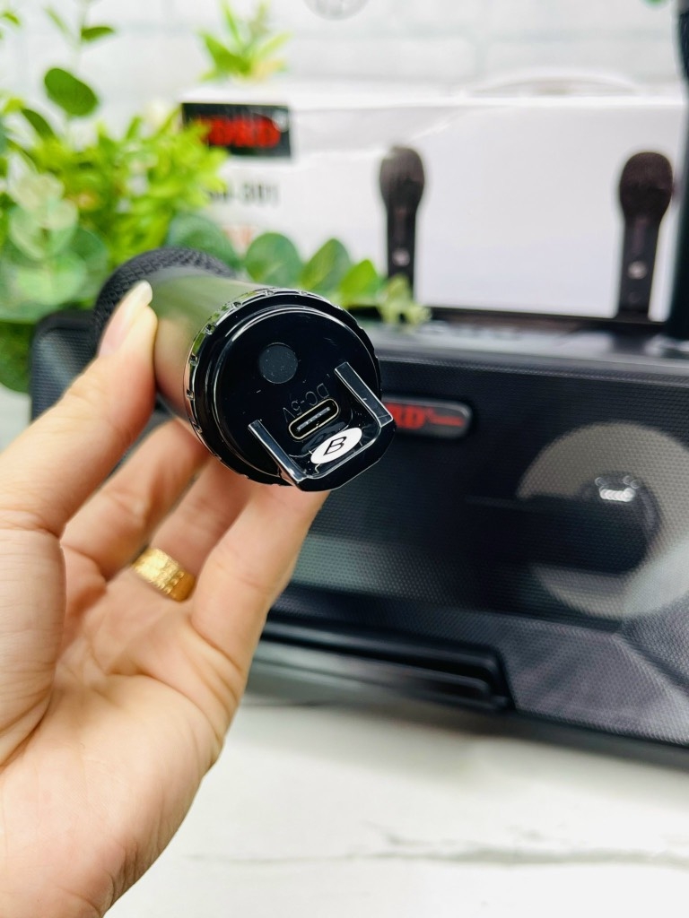 LOA KARAOKE TẶNG KÈM 2 MICRO KHÔNG DÂY CỰC HAY MÃ SD301 (60)