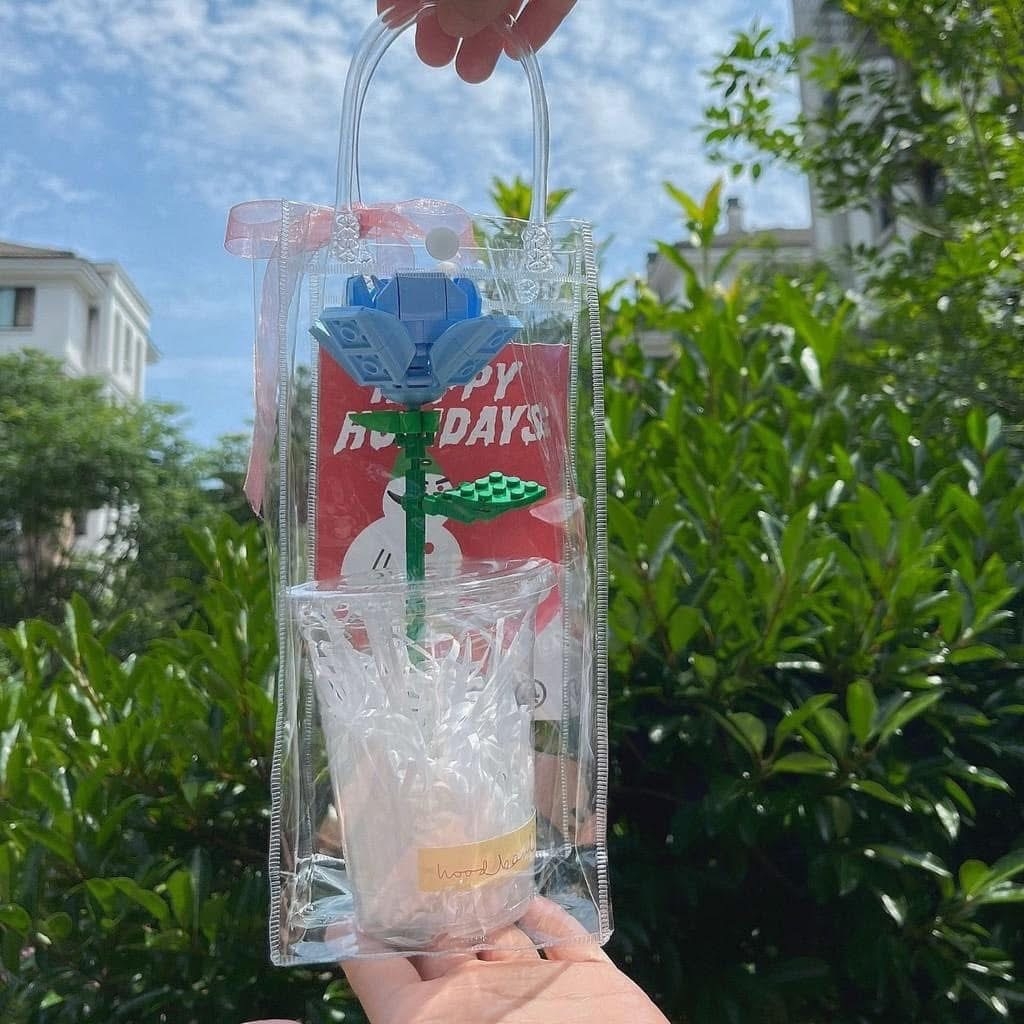 Túi Đựng Ly Giữ Nhiệt Trong Suốt (1)
