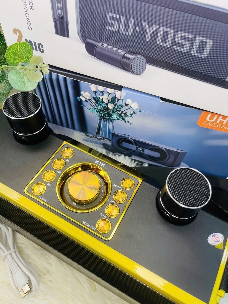 LOA KARAOKE BLUETOOTH YS-228 HIFI DJ TẶNG KÈM 2 MICRO KHÔNG DÂY CÓ ĐÈN LED RGB SIÊU ĐẸP CỰC HAY XÁCH TAY CHÍNH HÃNG (60)