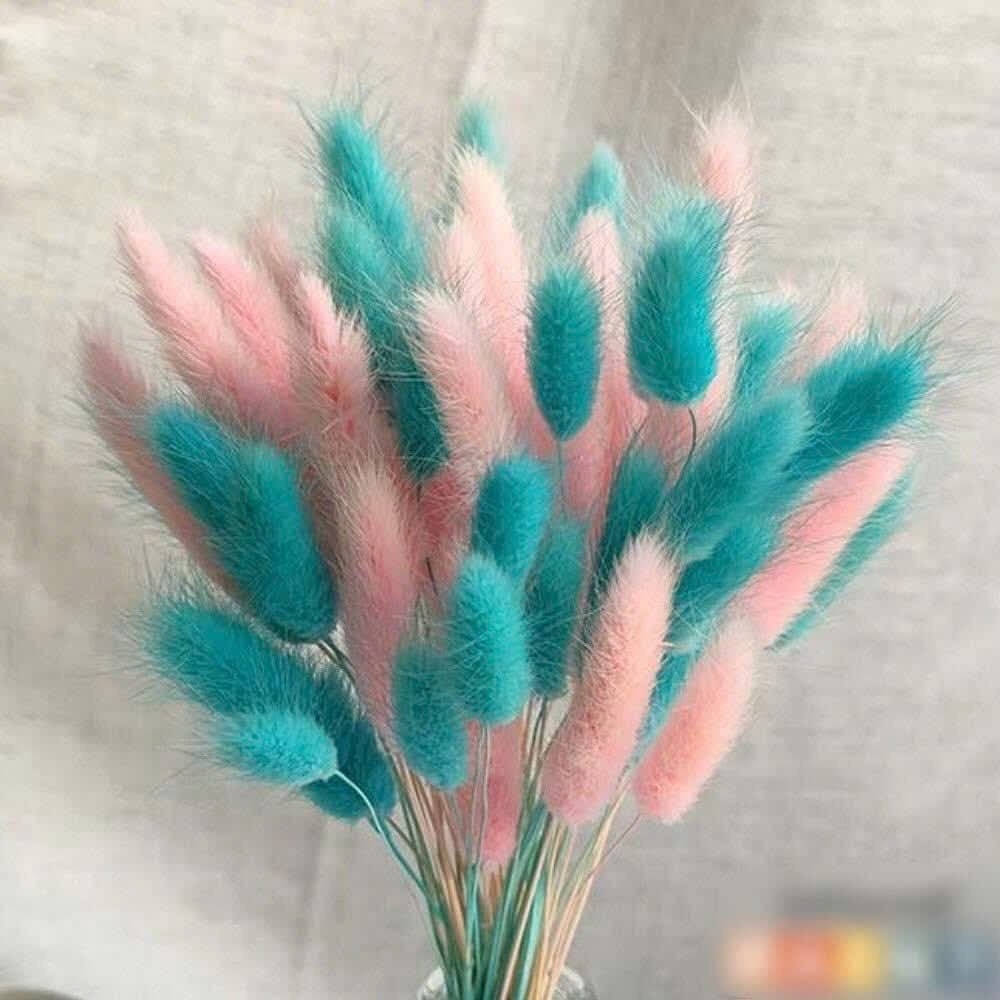 Bó Hoa Khô Decor Nhiều Màu SALE xả KHO