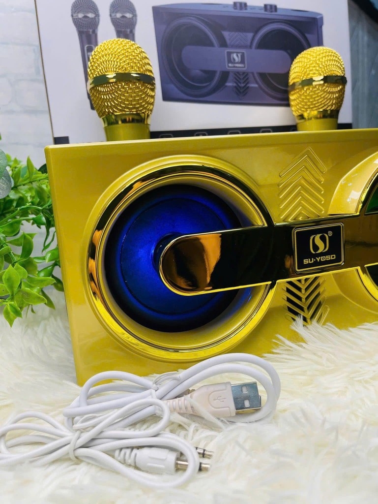 LOA KARAOKE BLUETOOTH YS-206 TẶNG KÈM 2 MICRO KHÔNG DÂY CHÍNH HÃNG CỰC HAY (80)
