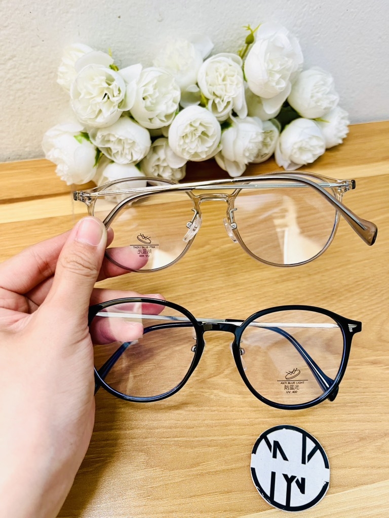 KÍNH TRÒN BẦU GỌNG SẮT CÁNH CHIM (5)