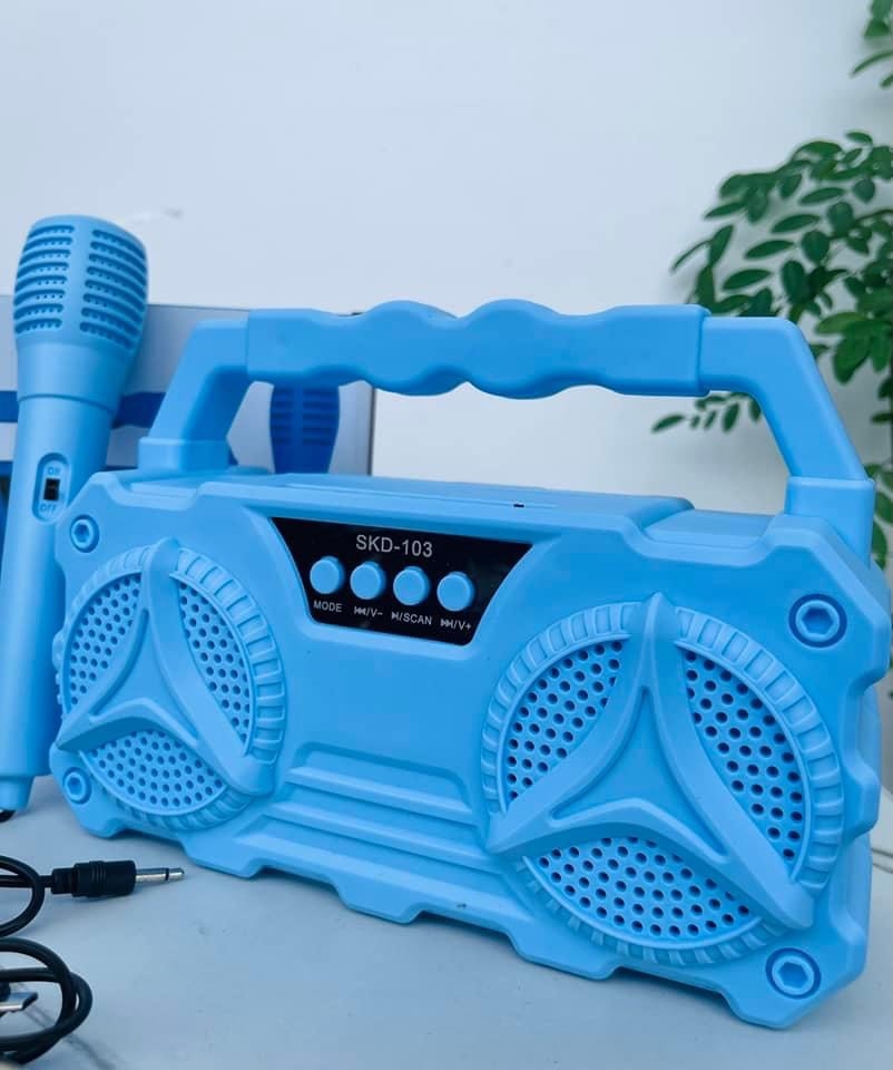 LOA KARAOKE D103 TẶNG KÈM MICRO CÓ DÂY NHIỀU MÀU (12)