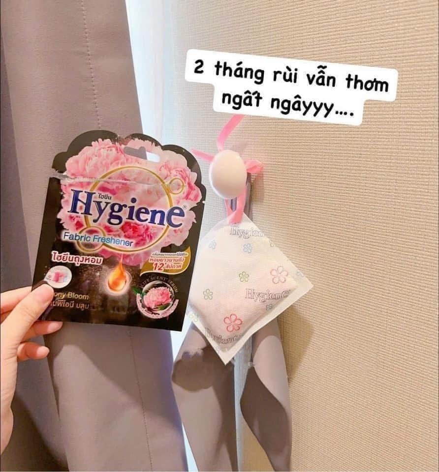 TÚI TREO THƠM HYGIENE HÀNG THÁI (3)