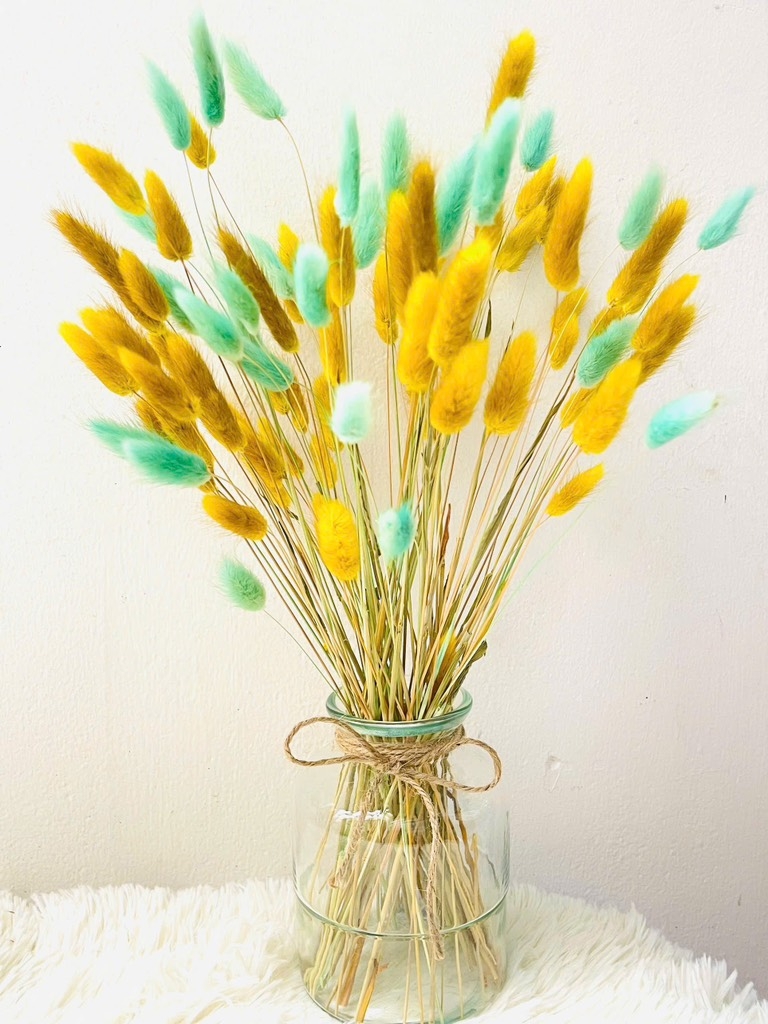 Chậu Hoa Đuôi Thỏ Nhiều Màu Decor Siêu Xinh (3)