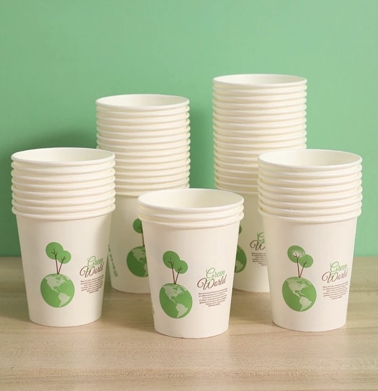 SET 50 LY GIẤY GẤU DÙNG 1 LẦN (1) '