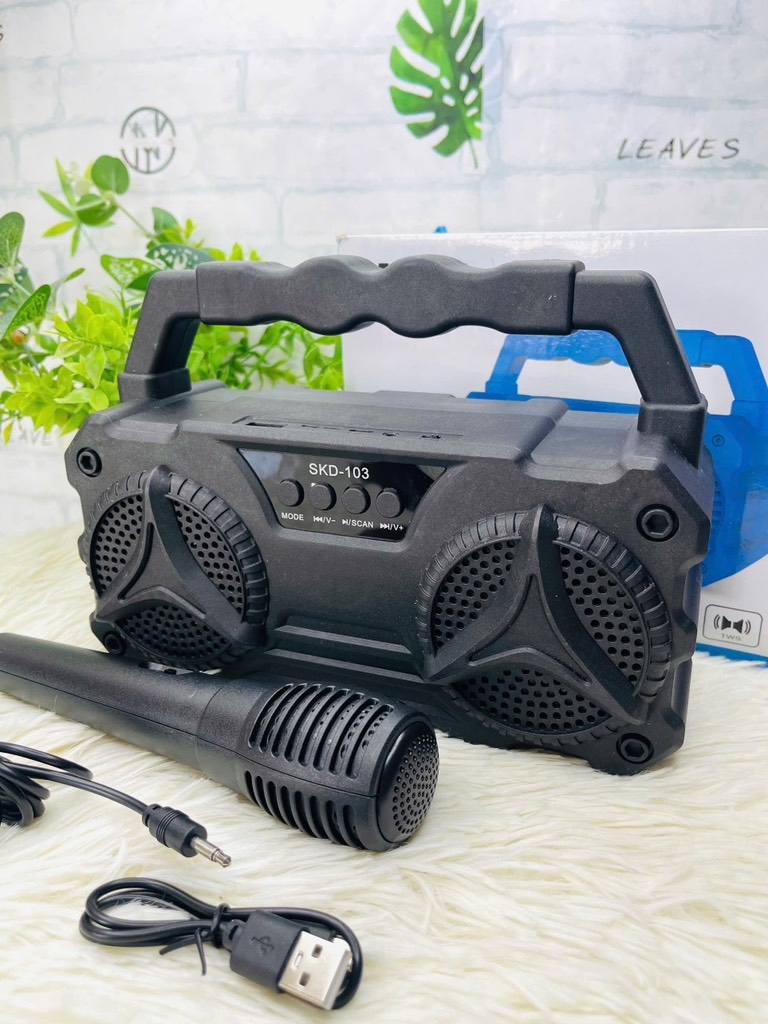 LOA KARAOKE D103 TẶNG KÈM MICRO CÓ DÂY NHIỀU MÀU (12)