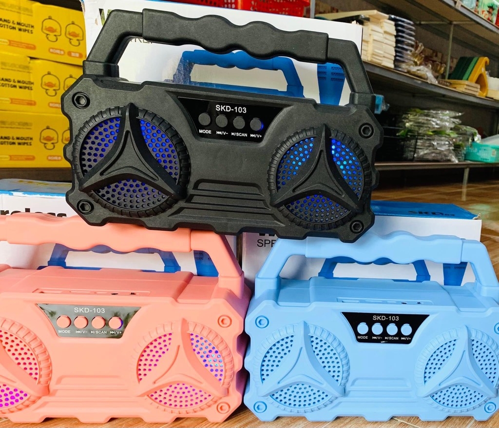 LOA KARAOKE D103 TẶNG KÈM MICRO CÓ DÂY NHIỀU MÀU (12)