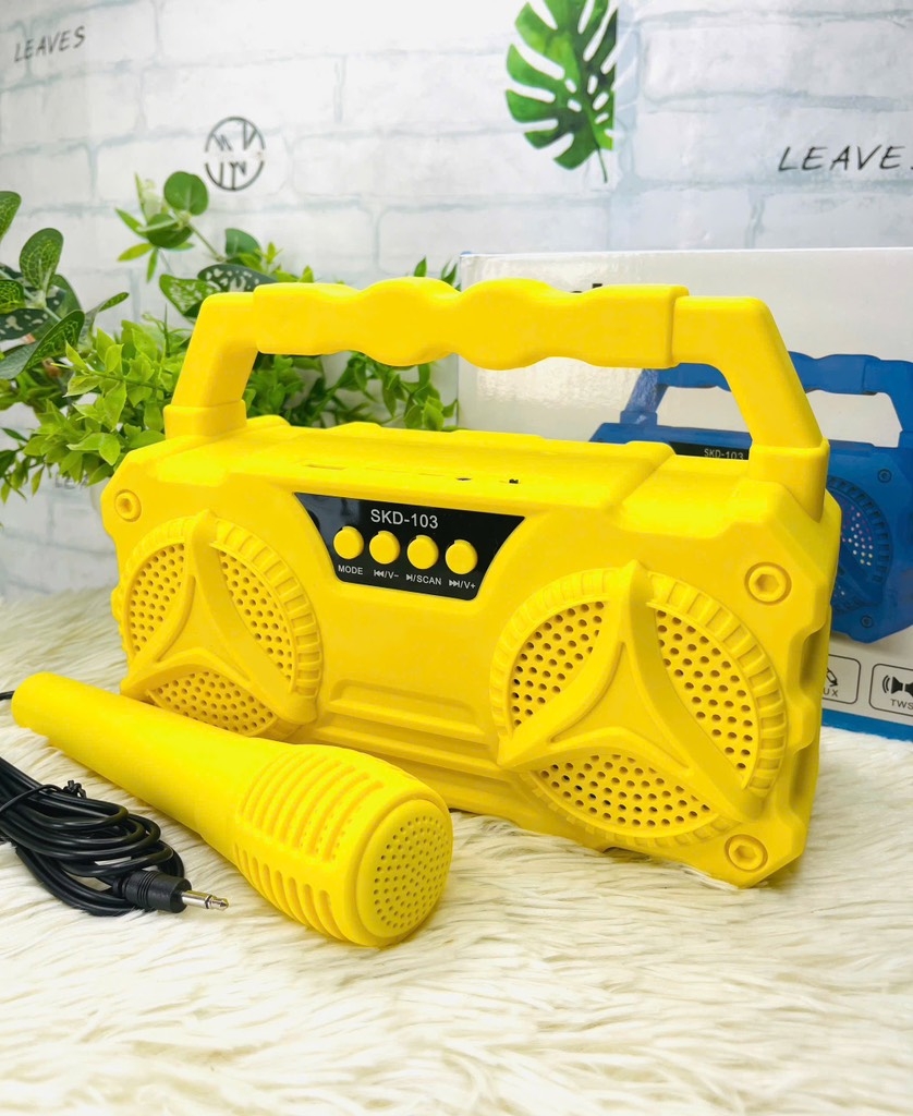 LOA KARAOKE D103 TẶNG KÈM MICRO CÓ DÂY NHIỀU MÀU (12)