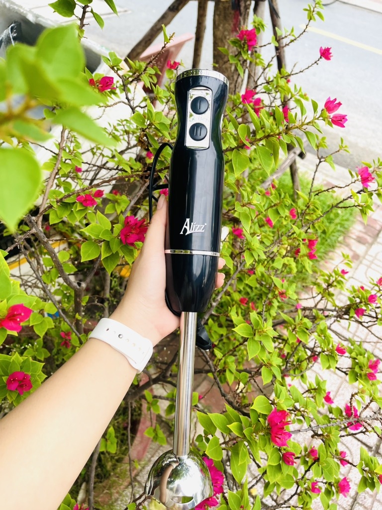 Máy Xay Sinh Tố Xay Thịt Cầm Tay Thế Hệ Mới 300W ALIZZ 8009 CHÍNH HÃNG (20)