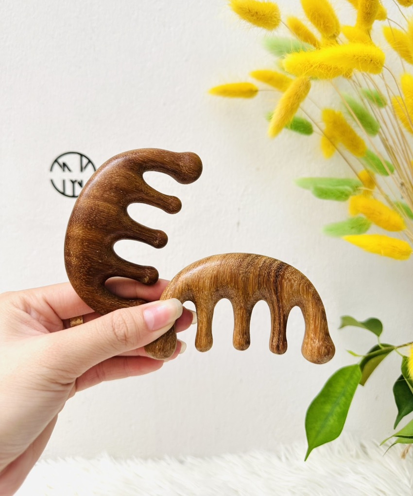 LƯỢC GỖ MASSA TRỊ LIỆU ĐÀN HƯƠNG (2)