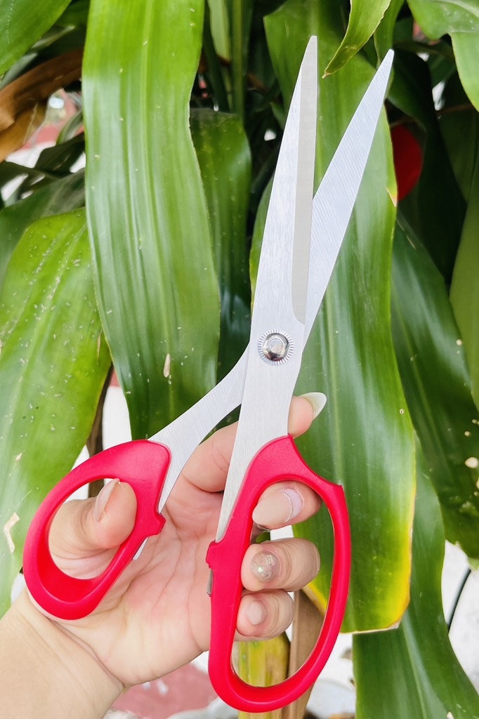 KÉO CẮT NHẬT H28 MŨI DÀI (2)