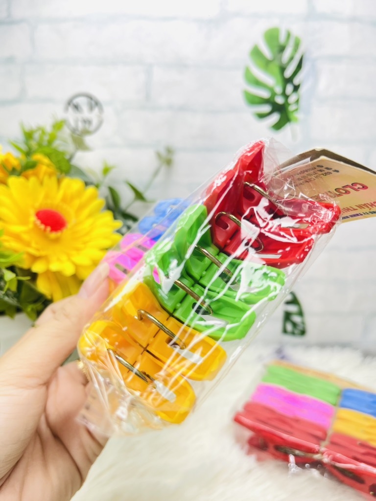 SET 12 KẸP PHƠI QUẦN ÁO BẰNG NHỰA HÀNG CTY (1)