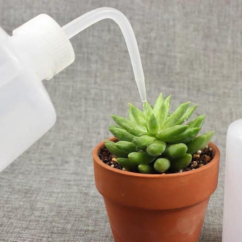 BÌNH TƯỚI CÂY 250ml VÒI CONG (1)