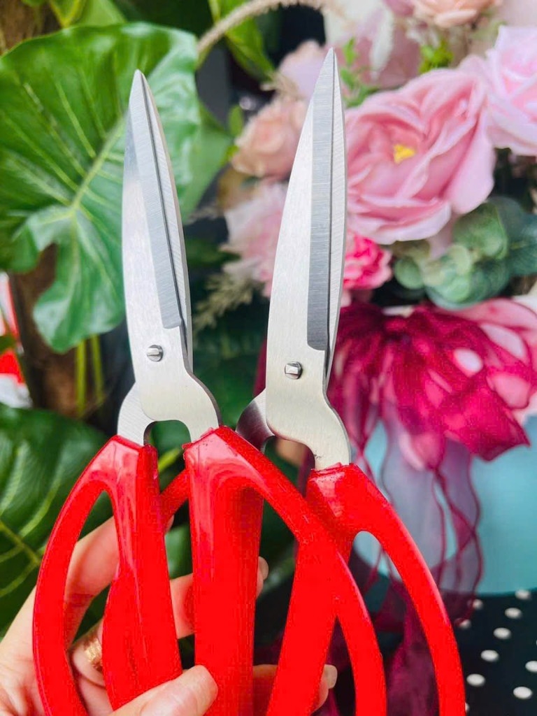 KÉO CÁN ĐỎ 17cm LOẠI 45g (1)