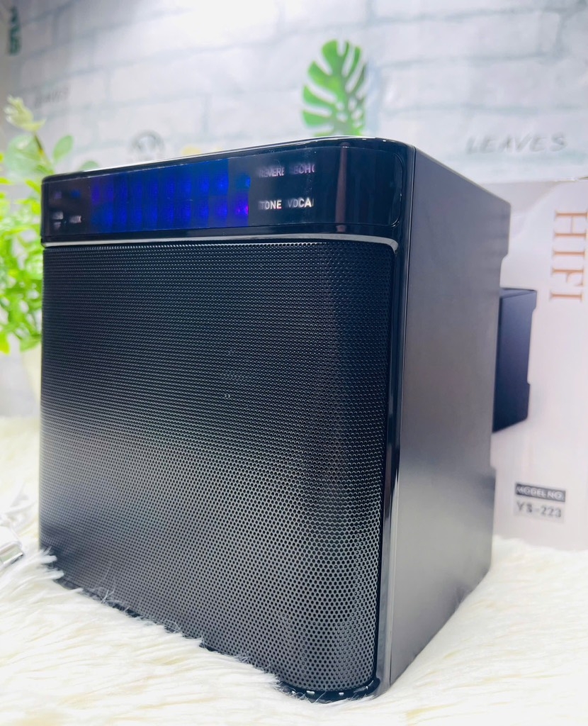 LOA KARAOKE BLUETOOH YS223 TẶNG KÈM 2 MICRO KHÔNG DÂY CỰC HAY (50)