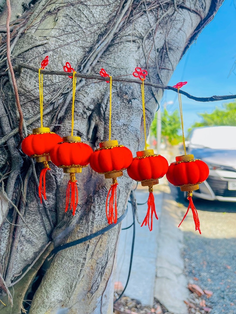 LỒNG ĐÈN TRÁI BÍ ĐỎ DECOR TẾT (0.5)