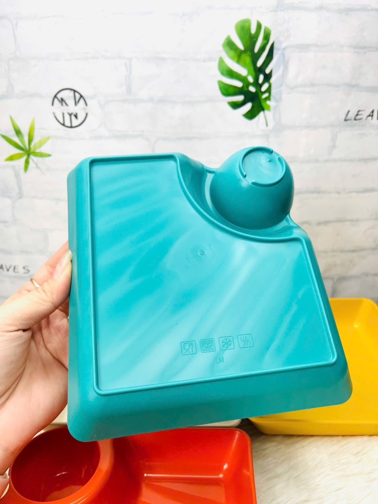 Dĩa đựng thức ăn có khay chấm (1)