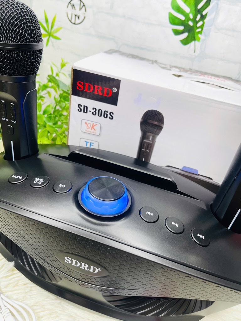 Loa Karaoke SD306 Bản S Mắt Cú Tặng Kèm 2 Mic Ko Dây Cực Hay (60)