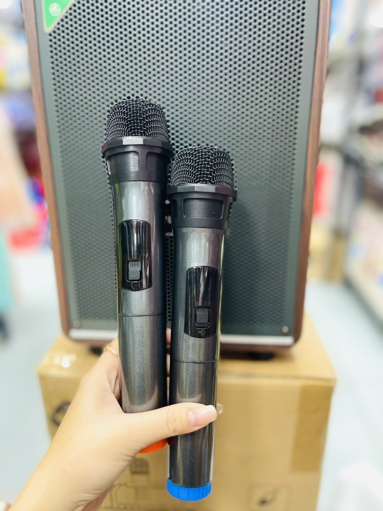 LOA KARAOKE LEONG 201 TẶNG KÈM 2 MICRO KHÔNG DÂY CỰC HAY NHỎ GỌN (70)