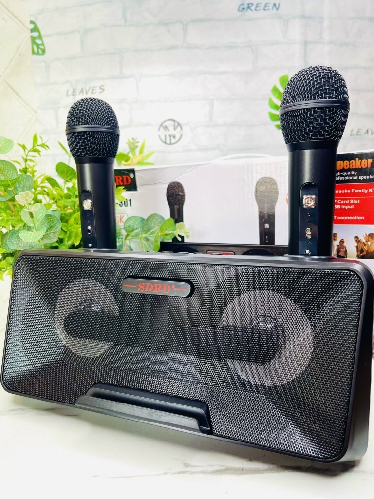 LOA KARAOKE TẶNG KÈM 2 MICRO KHÔNG DÂY CỰC HAY MÃ SD301 (60)