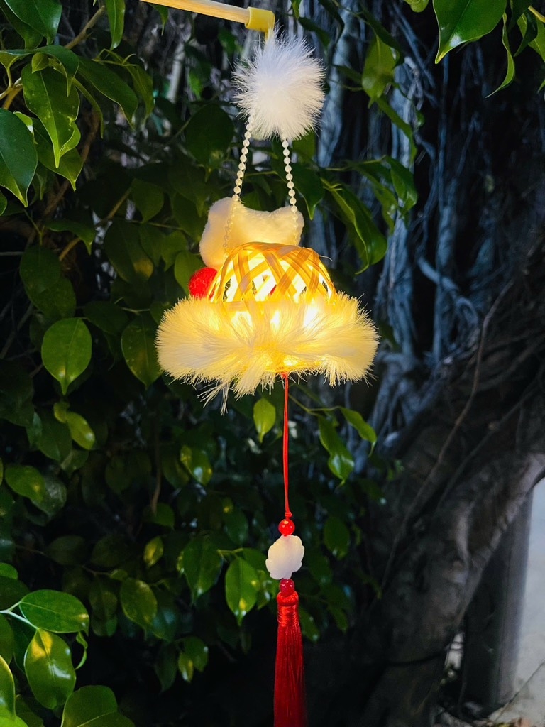 LỒNG ĐÈN TRUNG THU RỔ TRE ĐAN (2)