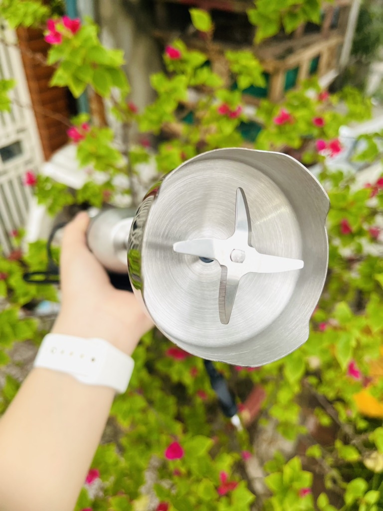 Máy Xay Sinh Tố Xay Thịt Cầm Tay Thế Hệ Mới 300W ALIZZ 9001B CHÍNH HÃNG (24)