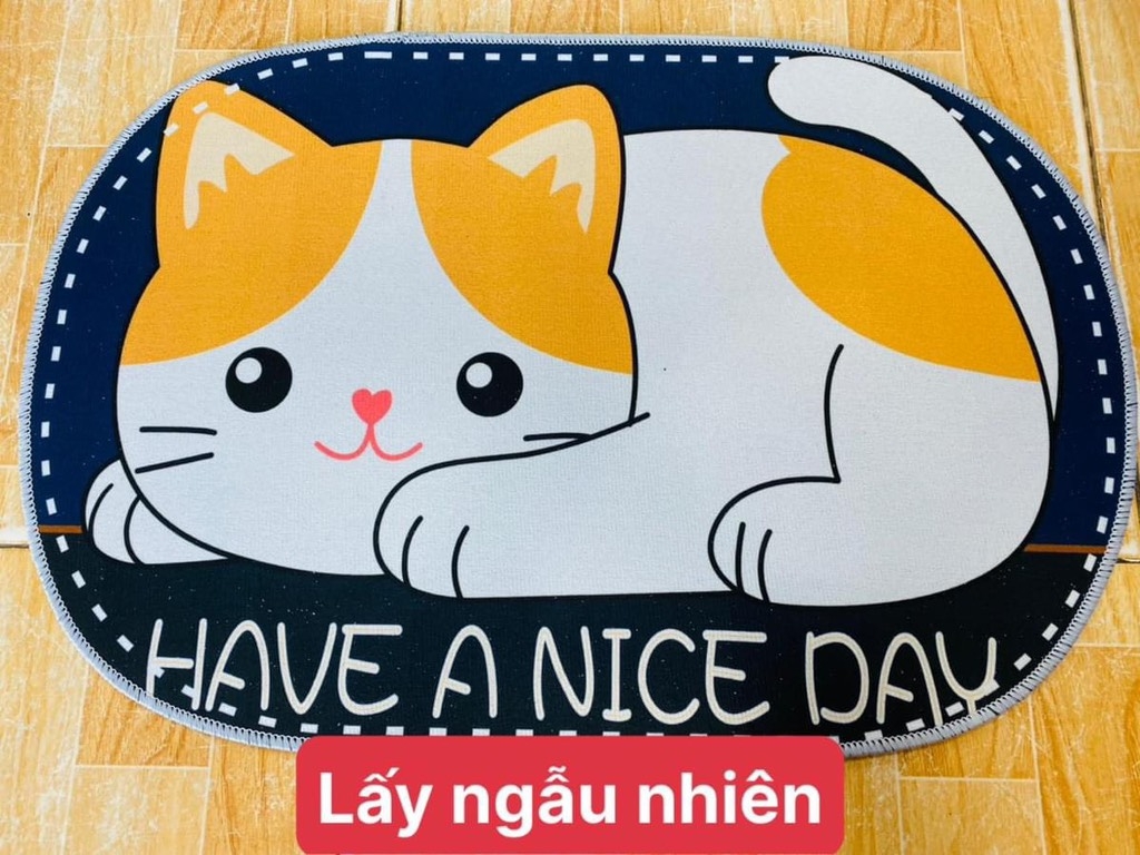 Thảm Lót Chân OVAL Bầu (1)