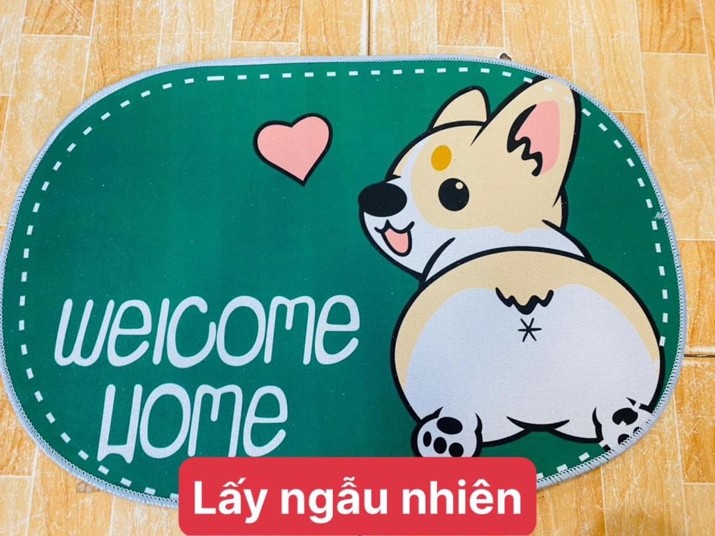 Thảm Lót Chân OVAL Bầu (1)