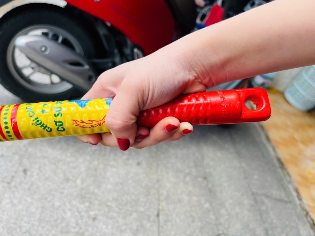 CÂY CHỔI QUÉT NHÀ XỊN HÀNG CTY (2) '