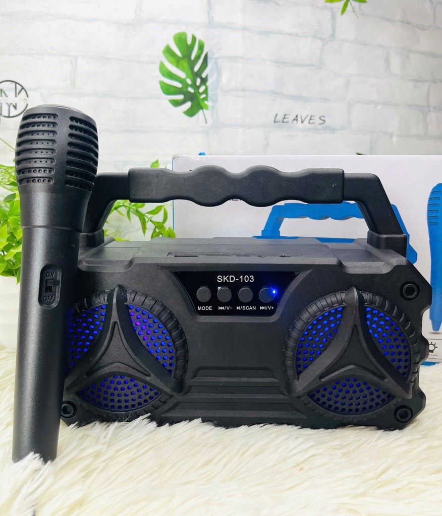LOA KARAOKE D103 TẶNG KÈM MICRO CÓ DÂY NHIỀU MÀU (12)