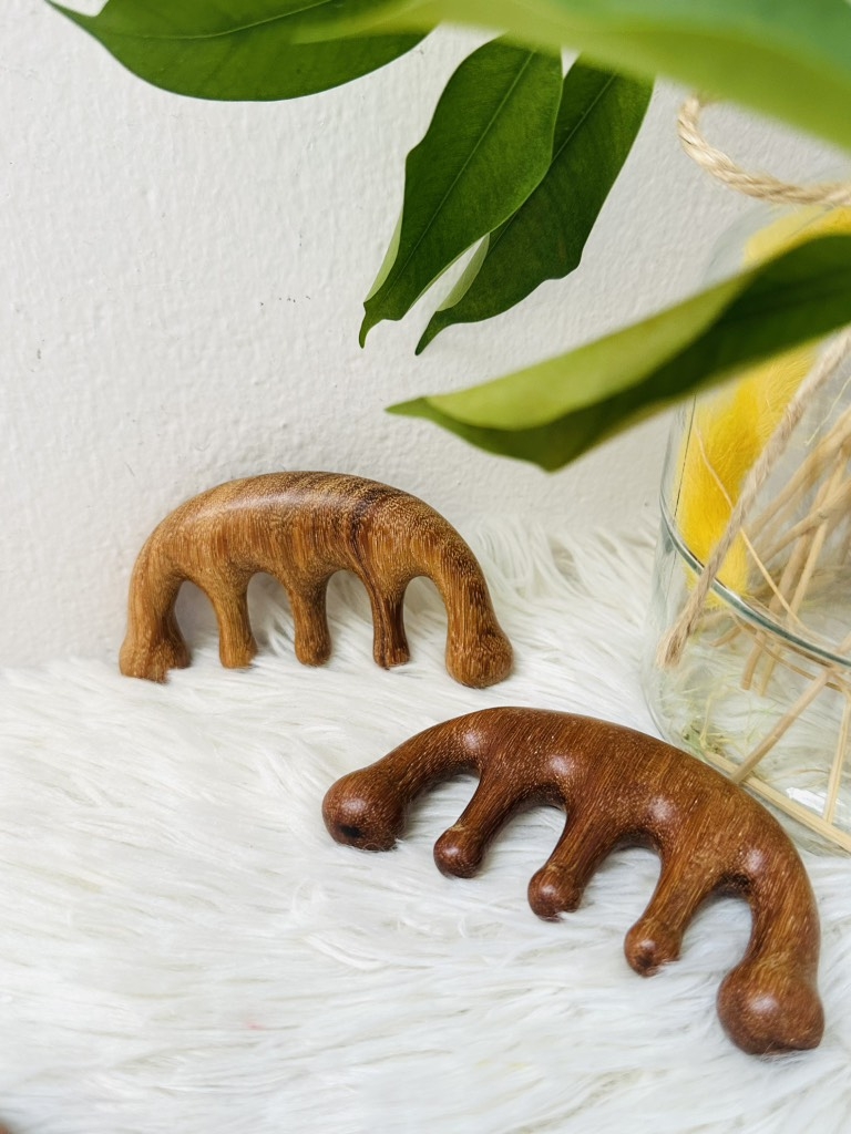 LƯỢC GỖ MASSA TRỊ LIỆU ĐÀN HƯƠNG (2)