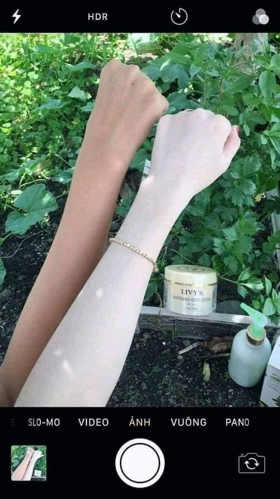 KEM BODY LIVY VÀNG (9) '