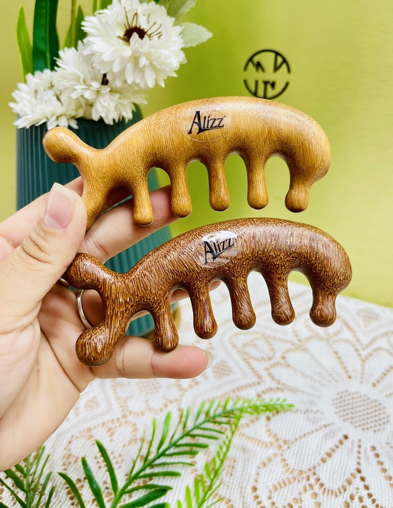 Lược massage gỗ đàn hương đầu cá heo AL-14361 (3)