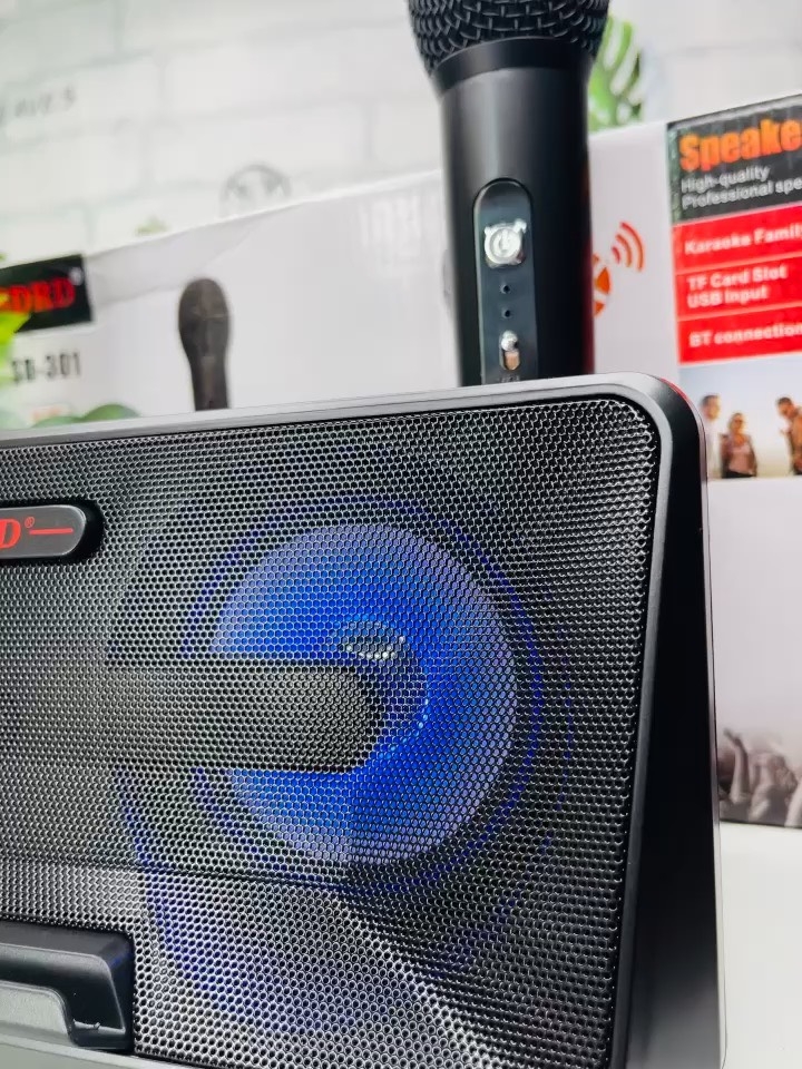 LOA KARAOKE TẶNG KÈM 2 MICRO KHÔNG DÂY CỰC HAY MÃ SD301 (60)