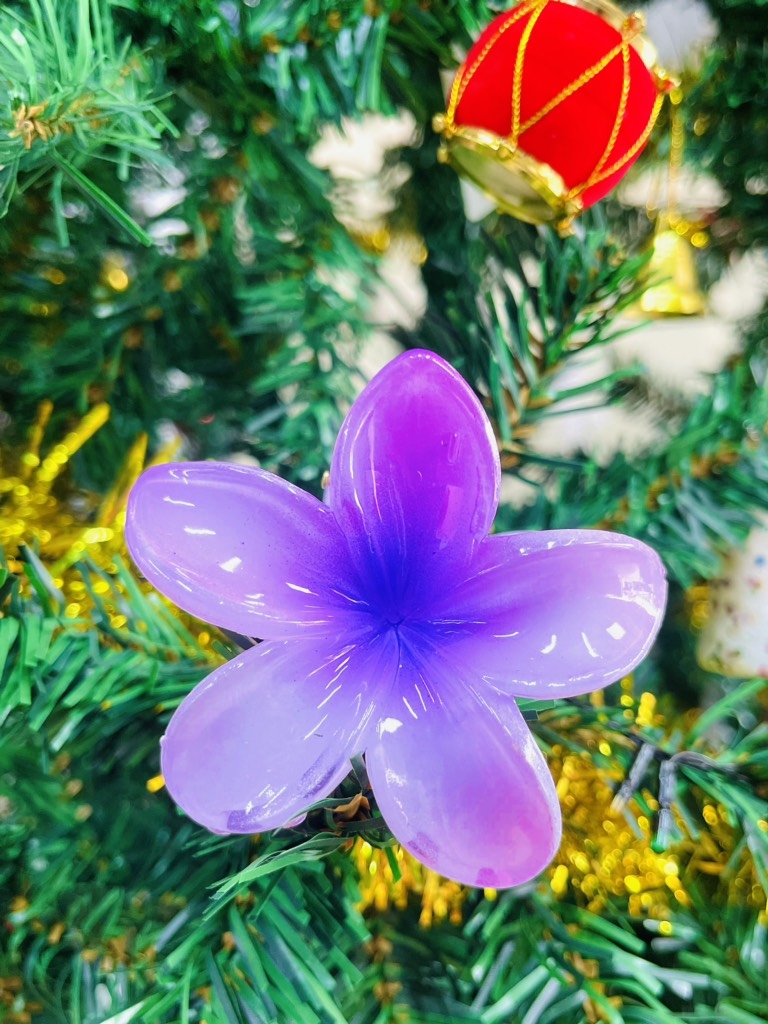 KẸP TÓC HOÁ SỨ KUTE (1)