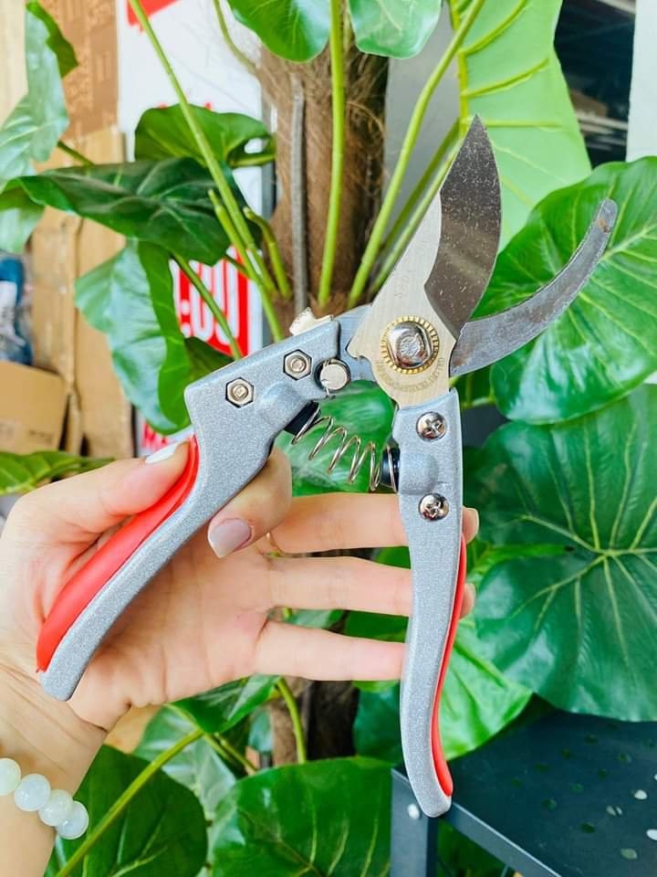 Kéo cắt tỉa cành cây Nhật Bản 210 (6)
