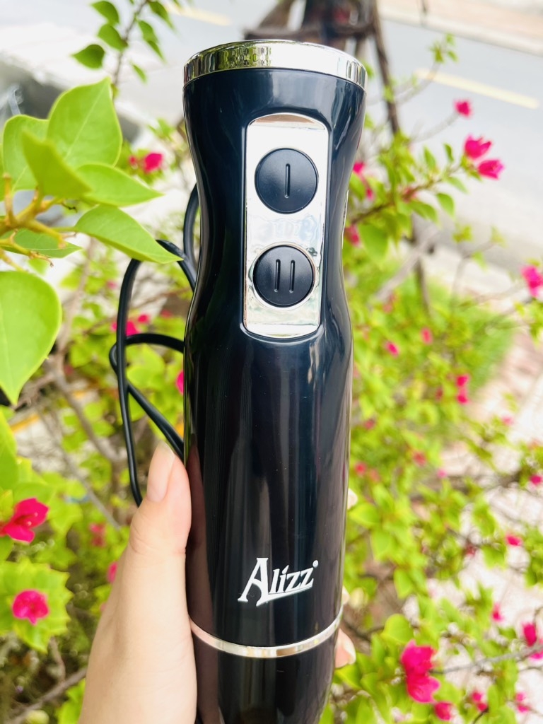 Máy Xay Sinh Tố Xay Thịt Cầm Tay Thế Hệ Mới 300W ALIZZ 8009 CHÍNH HÃNG (20)