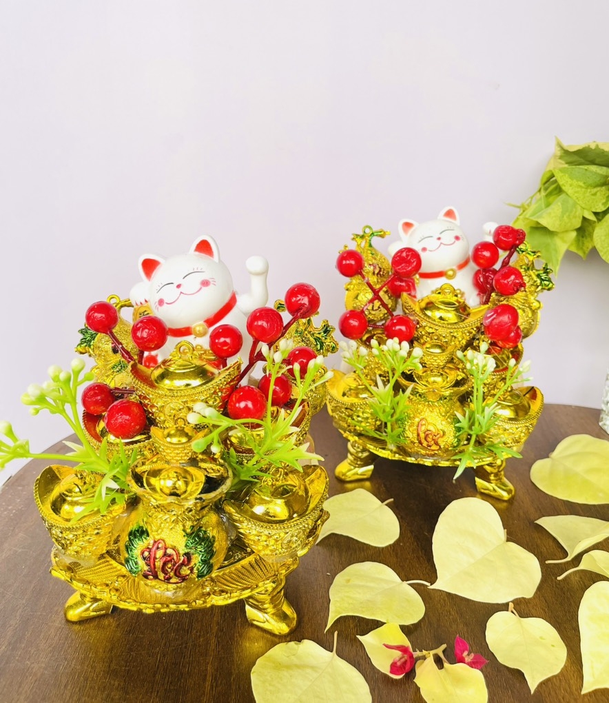 THÁP TỎI - ĐẬU - THẦN TÀI SỐ 17 CHƯNG PHONG THUỶ (7)