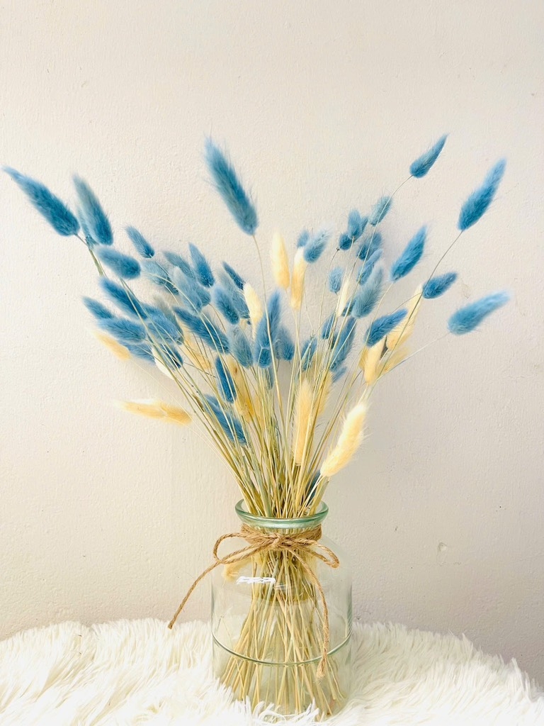 Chậu Hoa Đuôi Thỏ Nhiều Màu Decor Siêu Xinh (3)