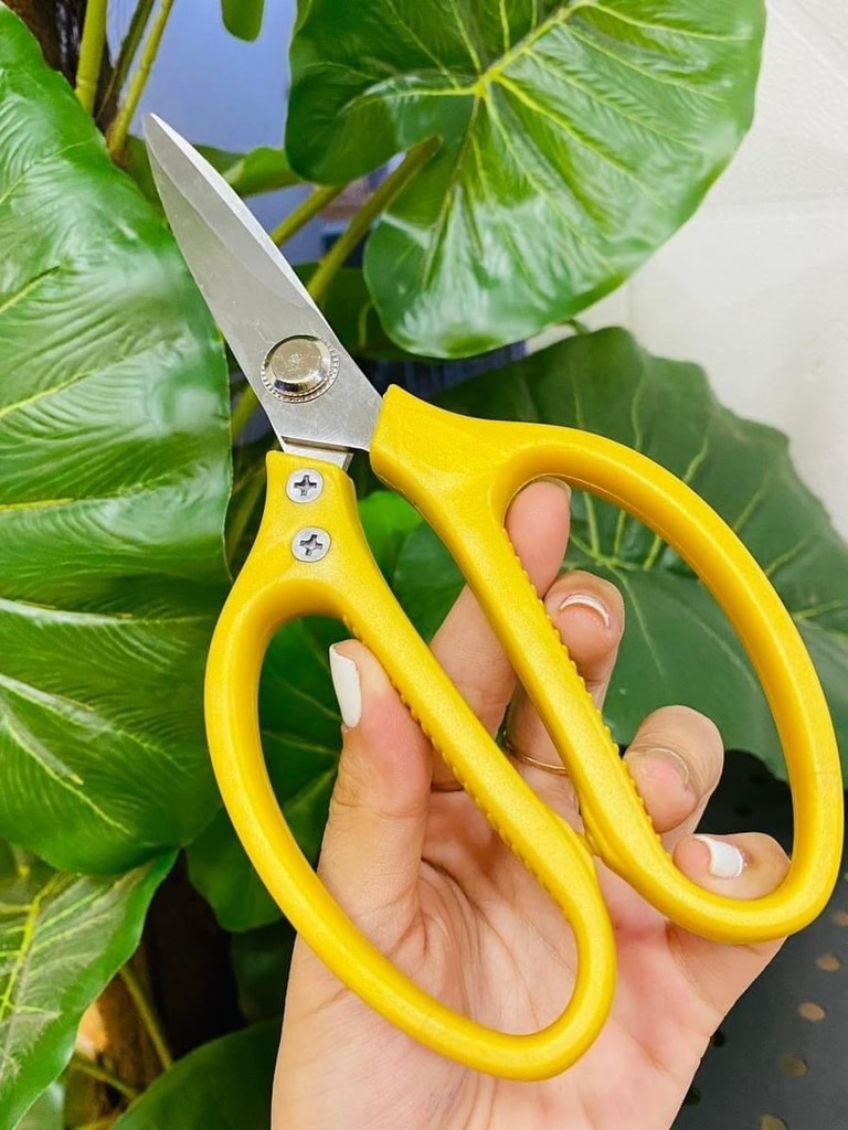 Kéo Cắt Nhật SK5 Cán Nhựa Xịn Chuẩn Jaban (2)