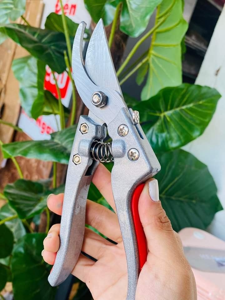 Kéo cắt tỉa cành cây Nhật Bản 210 (6)