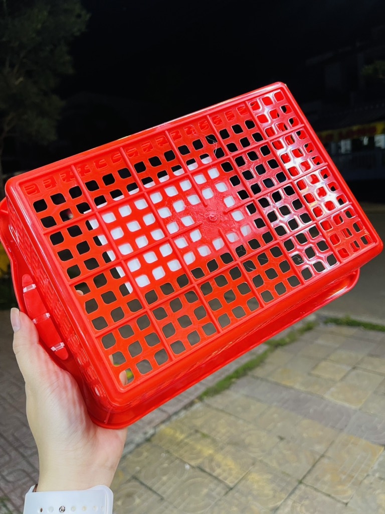 RỔ NHỰA HÌNH CHỮ NHẬT 29x20cm (1)