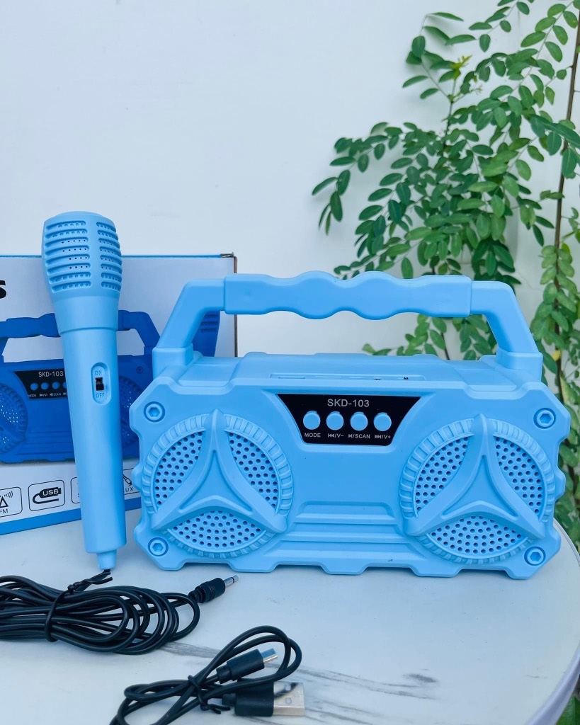 LOA KARAOKE D103 TẶNG KÈM MICRO CÓ DÂY NHIỀU MÀU (12)