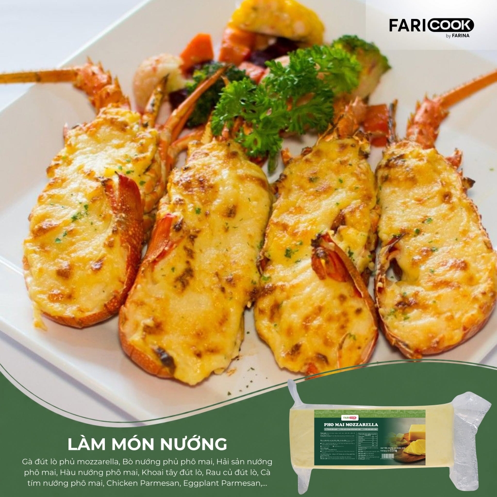 Phomai Mozzarella nhãn hiệu FariCook từ Farina | Khối 2.5kg