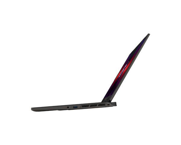 Laptop gaming MSI Sword 16 HX B14VGKG 466VN (20th Edition)