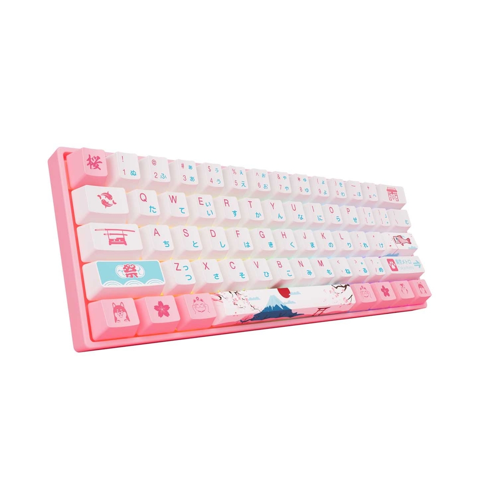 Bàn phím cơ AKKO 3068 World Tour Tokyo R2 RGB Gateron switch/Pre-Lubed