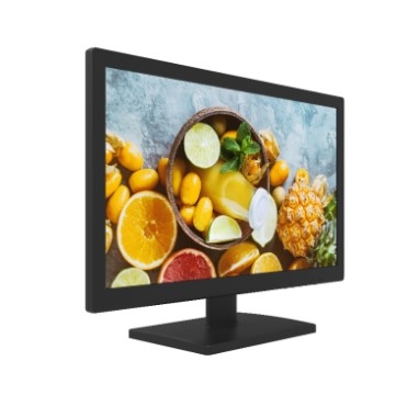 Màn hình chuyên dụng LCD 19” Hikvision DS-D5019QE-B - VA